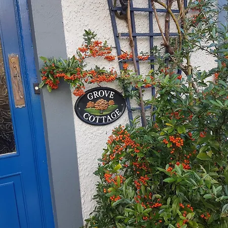 Boffin Lodge Guest House-3